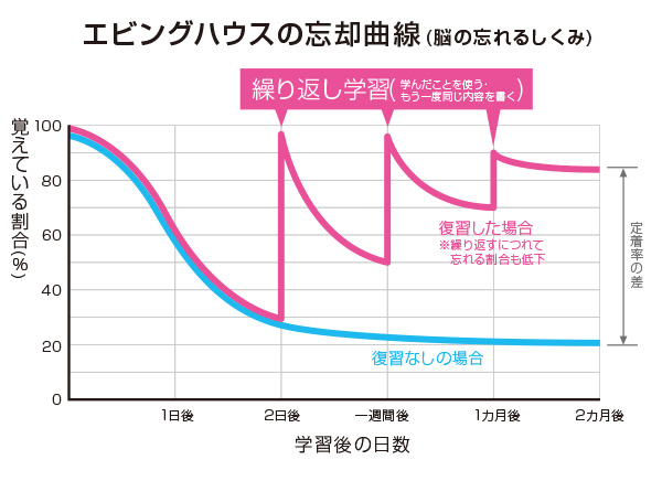 エビングハウスの忘却曲線(脳の忘れるしくみ)