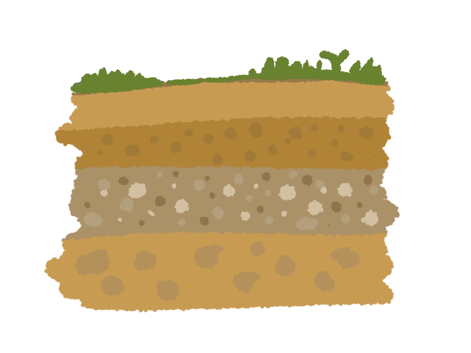 【中1理科】「大地の変化地層」の重要ポイントをピックアップし、勉強方法を紹介！ ｜札幌市 塾・学習塾｜札幌の個別指導塾 マナビバ