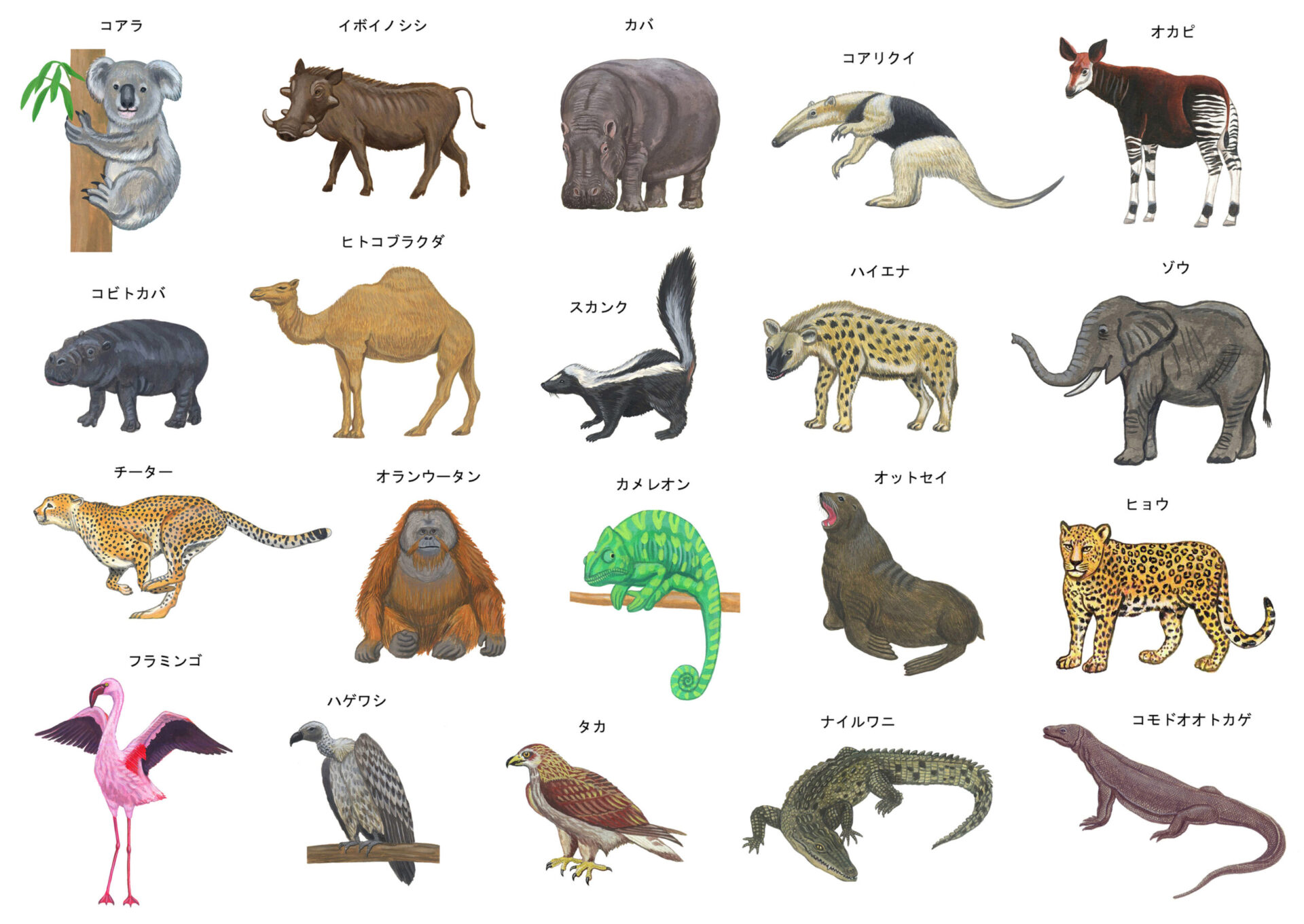 嫉妬を象徴する動物は何ですか？