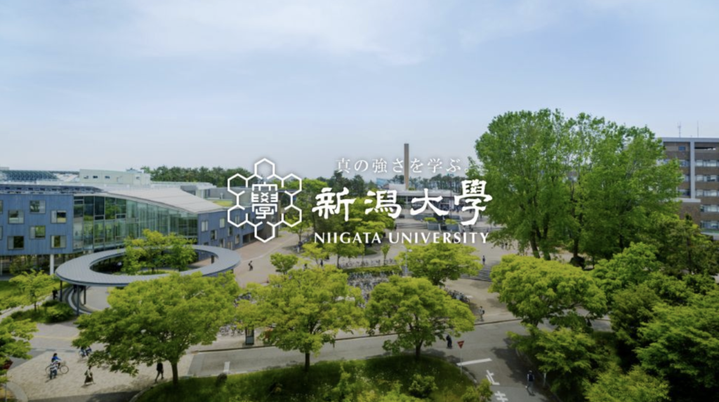 ５sとは 偏差値と特徴を紹介 札幌市 西区 琴似 発寒 塾 学習塾 個別指導塾 マナビバ